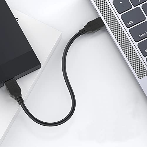 Pasow Usb 2.0 Type A Male To Type A Male Extension Cable Am To Am Cord Black (25Feet/8M) #TOP6