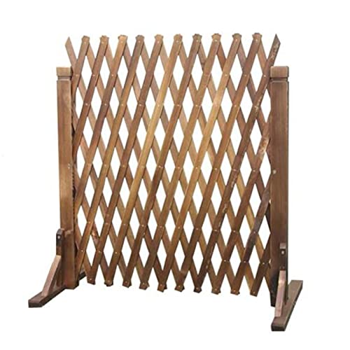 ݂̂ؐybgStFXAONC~OvgT|[gXN[/K[ft[eBXpl/H90*L160Cm Beauty Comes