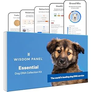 Wisdom Panel Essential Dog DNA Kit: Most Accurate Test for 365+ Breeds, 30 Genetic Health Conditions, 50+ Traits, Relatives, Ancestry - 1 Pack Wisdom Panel Essential Dog DNA Kit Most Accurate Test for 365 Breeds 30 Genetic Health Conditions 50 Traits Relatives Ancestry 1 Pack