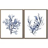 Watercolor Sea Coral Wall Art Set of 2 Navy Blue Corals Pictures Wall Decor Coastal Ocean Coral Canvas Print Painting Modern Framed Artwork for Living Room Bedroom Bathroom Home Office Décor, 11'x14'