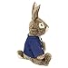 Animal Adventure | Peter Rabbit | 16” Collectible Plush Bunny