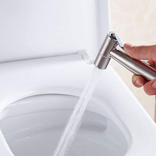 CIENCIA - Spray per toilette Bidet, in acciaio