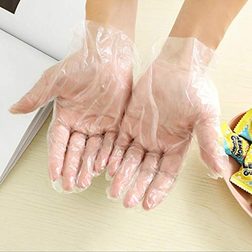 500Pcs Plastic Gloves Transparent Powder-Less Food Grade All Purpose Gloves Ship Fast