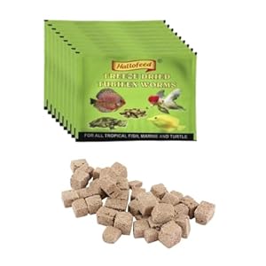 Premier Plants Fish Food Freeze Dried Tubifex Worms for All Life Stages Aquarium Fishes (Pack of 10) 15 Gram