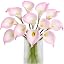 Blush Pink