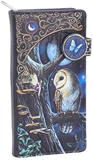 Nemesis Now B4864P9 Lisa Parker Fairy and Owl Purse 18.5cm, PU, Black, One Size