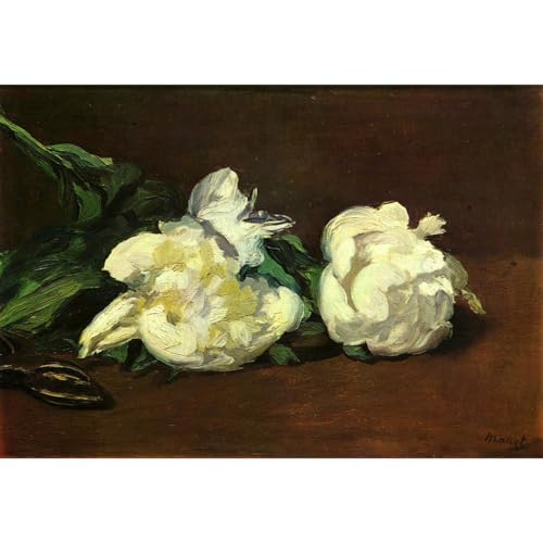 Nature Morte Pivoine Blanche Manet Grand Poster ARTICULOZY Salon