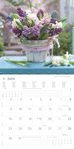 Alpha Edition - Blumenträume 2026 Broschürenkalender, 30x30cm, Wandkalender mit Platz für Notizen und Termine, hochwertige Bildmotive, Mondphasen, ... und Ferientermine DE/AT/CH: Lovely Flowers