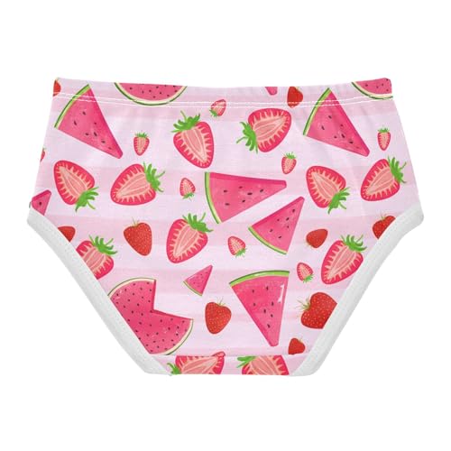 Strawberry Watermelon Toddler Girls's Underwear 2T 202c18532