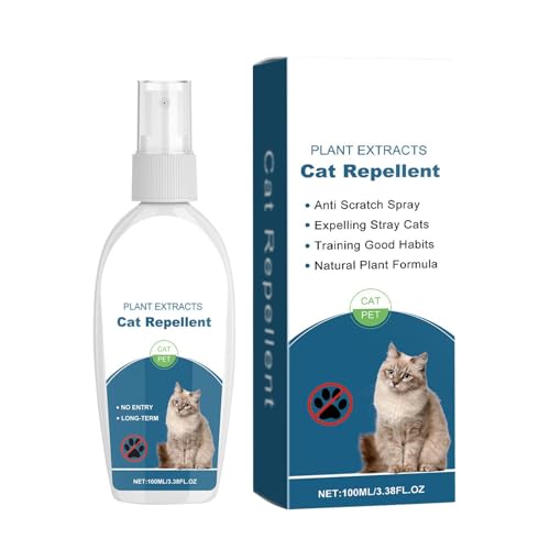 ƋpLXv[ALph~Xv[ - ƋpLXv[pL悯Xv[ L̏AQhybg悯 pL悯Xv[ qLLpXv[ - L̃XNb`g[jO⏕AƋA\t@A~ی삷邽߂100MLXv[ALƎqL̉gp