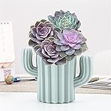 [Diseño único] --- El elegante diseño de patrón de ondas agrega belleza / singularidad a su espacio interior. El jarrón tiene un patrón especial en relieve, que es simple y generoso.