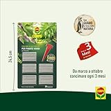 Compo B09P1RBPTY lato 4