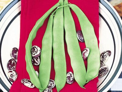 Buy4seeds 20 Seeds Bean Lima o del papa Useful for Garden and Outdoor