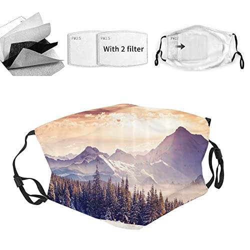 TXSDCCY Nature Adult Reusable Face Mask,Early Evening Winter Landscape,5-Ply Breathable Safety Unisex Adults Fashion Facial Face Masks for Women Men,Blue Grey - S
