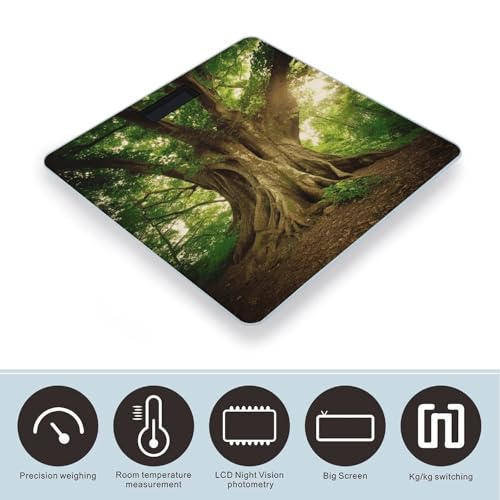 Báscula digital de baño con plataforma de vidrio templado miniatura 3
