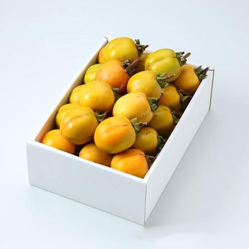 ` a` `pZbg }t Gi 傫܂ 6kg  ݂邵Rt RY Y `  JL {