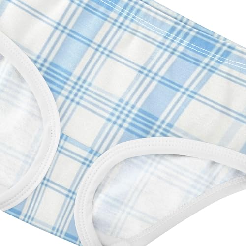 Light Blue Plaid Girls' Underwear Moisture Wicking Comfort Underwear for Girls in Sizes 2T,3T, 4T, 5T, 6Y and 8Y4