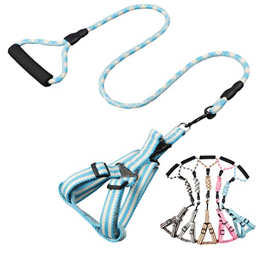 CHBORLESS Pet Dog Harness Leash Set Comfortable Foam Padded Handle Woven Cotton Climbing Rope Dog Leash Adjustable Harness for Small Medium Dog (Blue, M)â€¦