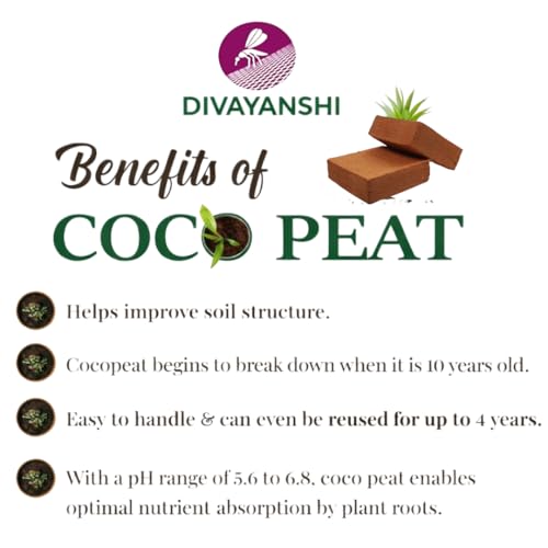 Image of Divayanshi Cocopeat Block for Plants & Gardening | 100% Natural Organic Growing Medium | High Water Retention Soil Conditioner for Home Garden, Nursery & Pots- 1kg