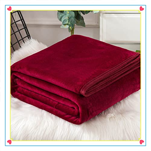 Velvet Blanket Bed Soft Blankets and Throws King Size Queen Full Size Summer Lightweight Blanket for Bed Fluffy Fleece Blanket Throw for Couch/Sofa/Recliner Decor (Color : Wine red, Size : 59x79inch