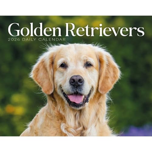Carousel Calendars, Golden Retrievers 2026 Desk Calendar, 6.18'' X 5.43'', 16-Month Calendar with Stapled Binding