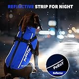 PcEoTllar Hundejacken Wasserdicht für Winter, Reflektierend Hundemantel mit Geschirr für Kleine Hunde, Welpe Warme Jacke Hundepullover, Hundejacke Winddichtes für Kaltes Wetter, Blau-M