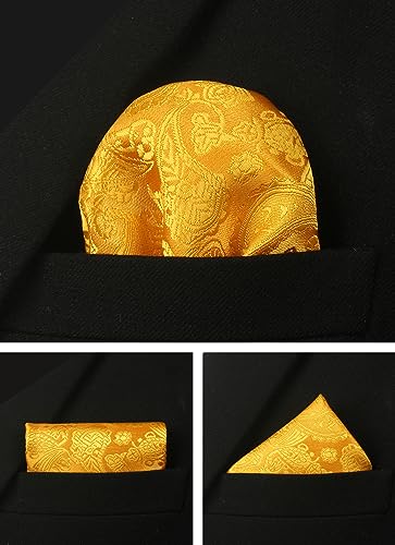 Image of Paisley Floral Mens Tie Formal Necktie Pocket Squares Ties Clips Cufflinks Classic for Men Set