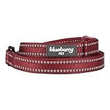 Blueberry Pet 4 Colors Durable 3M Reflective Classic Dog Leash 5 ft x 3/4