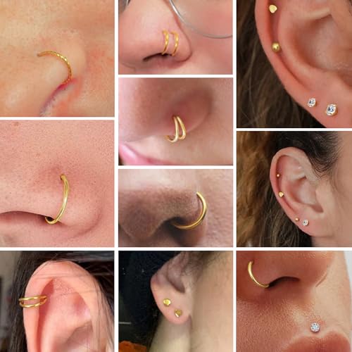 16PCS Nose Ring Studs 20G Nose Ring Hoop, L Shaped 14K Gold Plated 316L Surgical Steel Hypoallergenic Studs Set Clicker Hinged Ball CZ Piercing Jewelry for Women Men3