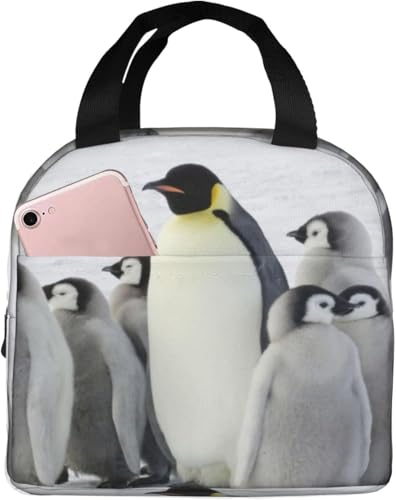 cyMƎq ۗ⃉`obO ٓ 킢 e ܂ y RpNg fMA~V[g |Pbgt g[gobN