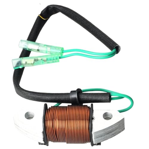 Bobina de Encendido 61N-81313-09 de Alta Tensión para un Arranque Rápido en Motores 2T