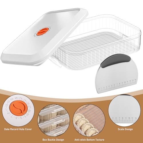 Pizzaballenbox mit Deckel, 31 x 23 x 9 CM Pizzateig Box mit Edelstahl Teigkart, Teigballenbox mit Datumsaufzeichnung Teigwanne Teigbox Pizzateigbehälter Lebensmittelbehälter für Pizzateig Sauerteig