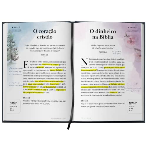 365 Doses Bíblicas Diárias Floral: Com plano de leitura da Bíblia