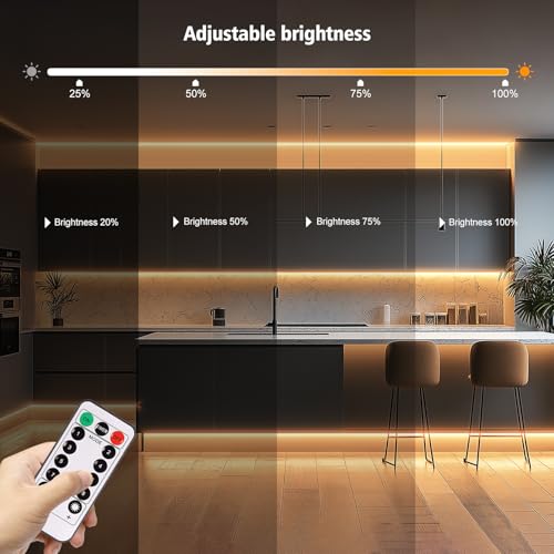 Tira de luces LED 3.3ft blanca cálida con control remoto miniatura 4