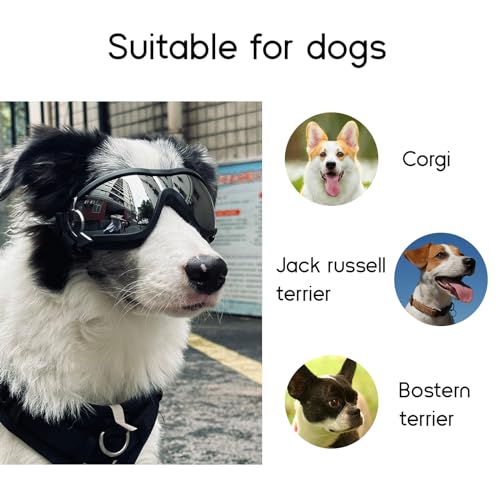 Dellyy Hundebrille für Mittelgroße Hunde, UV-Schutz Sonnenbrille, Verstellbar (Schwarz)
