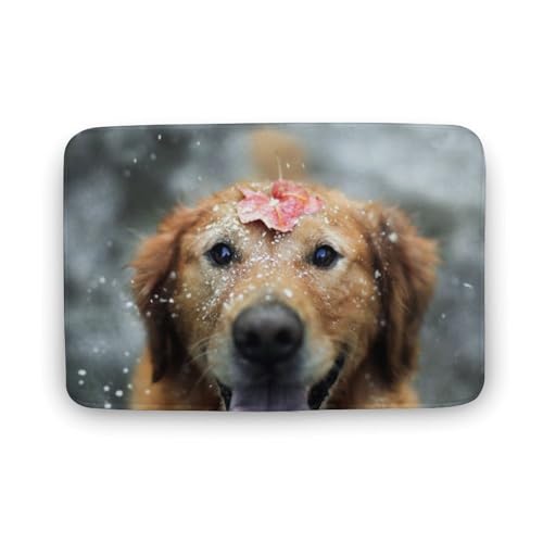 Č  L  oX}bg   z փ}bg  O    ~ Aj LN^[ @}bg   ʏ