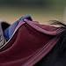 Equinavia Koselig Fleece Quarter Sheet - Cranberry Red - XL