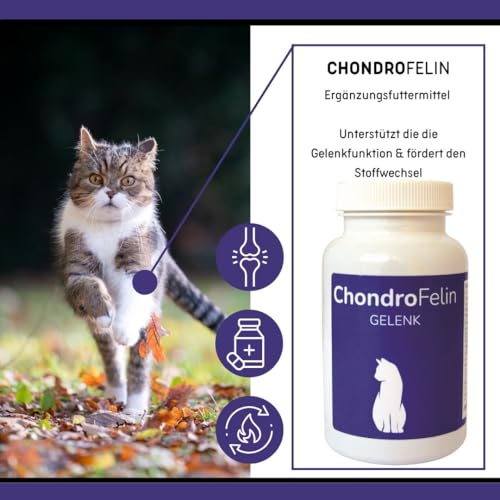 ChondroFelin Gelenkunterstützungs-Kautabletten für Katzen: Mit Grünlippmuschel, Teufelskralle, Chondroitinsulfat & MSM, 180 Stück