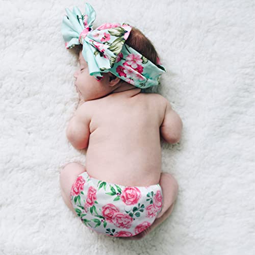 image for wegreeco Cloth Diapers 5 Pack with 5 Inserts, Washable Cloth Diapers f