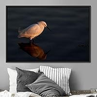 Framed Canvas Wall Art Bird on a Rock Aerial Beach Birds Cool Multicolor Photography Realism Relax/Calm Single - 16x24 inches