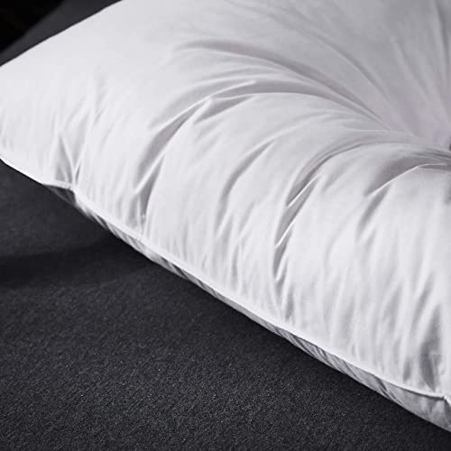 Alanzimo Luxury Home Collection Goose Feathers Down Pillows Queen Size For Sleeping Bed Pillows,100% Feather-Proof Natural Cotton Cover 1 Pack Soft Pillow For Side Stomach Sleepers(Queen:1 Pillow) #TOP2