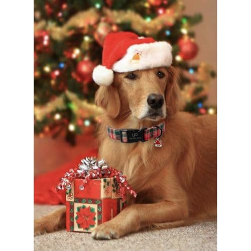 Image of Christmas Dog Collar- Adjustable Red & Green Checkered Dog Collar for Small Medium Large Dogs, Soft Xmas Plaid Puppy Collars with Quick Release Buckle XL