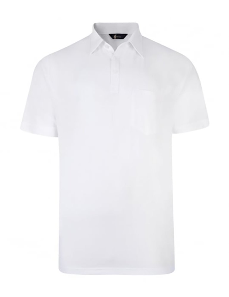 Gabicci Men's White - Plain Polo Shirt (Medium, )