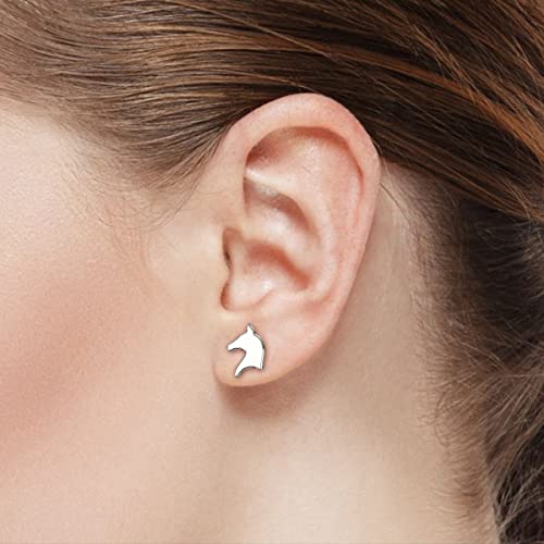 Horse Earrings, Cute Stud Set for Women and Girls – Horseback Riders Design with Message Card3