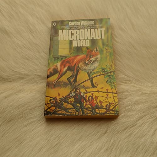 Micronaut World view 2