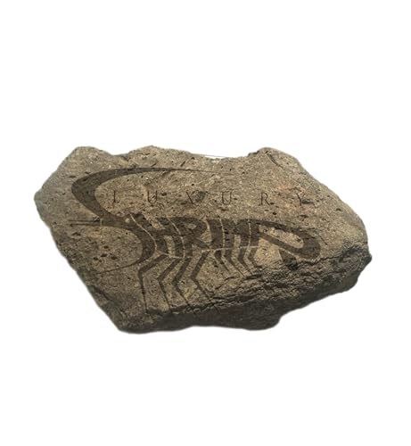 Lavastein naturrein glatt/Dekoration, Hardscape für Einrichtung von Aquarium Terrarium und Garten/unbehandeltes Lavagestein (1, M, 12-16cm)