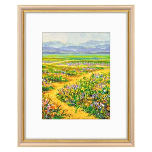 Image of Golden State Art,16x20 Ornate Picture Frame Holds 11x14 Photo,Champagne | Includes plexiglass front,white mat,build-in hangers and buttons.Displays 11x14 photo on wall