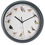 Carousel Home Wall Clock With Birdsong Sound | Bird Song Wall Clock With 12 Bird Designs And Hourly Chirps | Singing Bird Wall Clock - 25cm