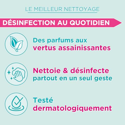 Lingettes usages Désinfectantes Eucalyptus Sanytol Le Paquet De 72 Lingettes - vue 4