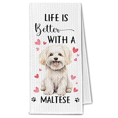 Maltese